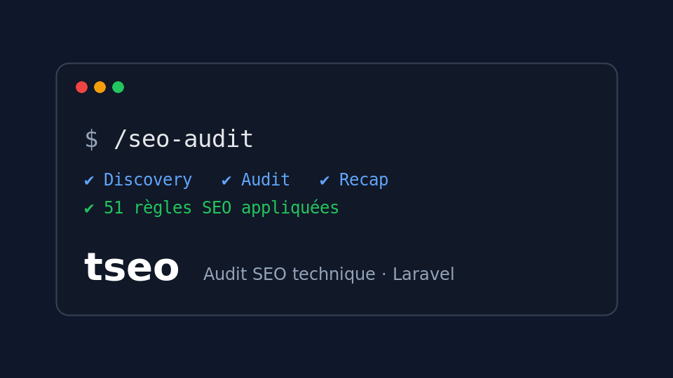 Aperçu du site Tseo